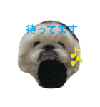 ココのいる生活 II（個別スタンプ：7）