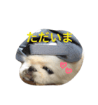 ココのいる生活 II（個別スタンプ：9）