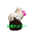 ココのいる生活 II（個別スタンプ：10）