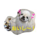 ココのいる生活 II（個別スタンプ：14）