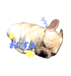 カイときどきメイル（個別スタンプ：1）