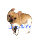 カイときどきメイル（個別スタンプ：2）