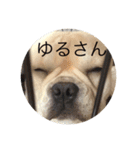 カイときどきメイル（個別スタンプ：6）