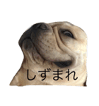 カイときどきメイル（個別スタンプ：7）