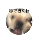 カイときどきメイル（個別スタンプ：9）