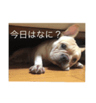 カイときどきメイル（個別スタンプ：10）
