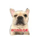 カイときどきメイル（個別スタンプ：14）