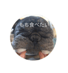 カイときどきメイル（個別スタンプ：15）