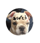 カイときどきメイル（個別スタンプ：16）