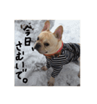 カイときどきメイル（個別スタンプ：17）