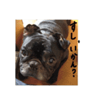 カイときどきメイル（個別スタンプ：18）