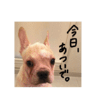 カイときどきメイル（個別スタンプ：20）