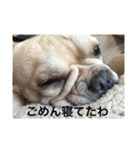 カイときどきメイル（個別スタンプ：21）