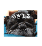 カイときどきメイル（個別スタンプ：23）