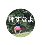 なるかん（個別スタンプ：16）