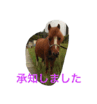 Pferd（個別スタンプ：9）