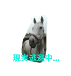 Pferd（個別スタンプ：22）