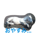Pferd（個別スタンプ：26）
