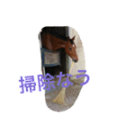 Pferd（個別スタンプ：34）