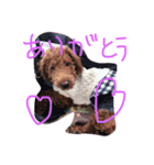 まるきり（個別スタンプ：1）