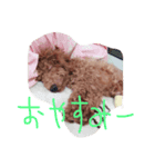 まるきり（個別スタンプ：2）