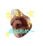 まるきり（個別スタンプ：6）