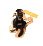 Xian Cao the cat（個別スタンプ：8）