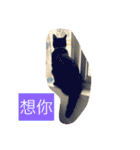 Xian Cao the cat（個別スタンプ：9）