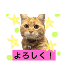 そらちゃんスタンプ2（個別スタンプ：3）