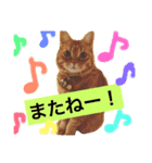 そらちゃんスタンプ2（個別スタンプ：4）