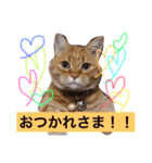 そらちゃんスタンプ2（個別スタンプ：7）
