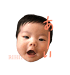 rihiton1（個別スタンプ：8）