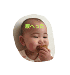 hayumam（個別スタンプ：12）
