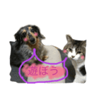 モモ＆ニャン（個別スタンプ：7）