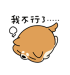 柴犬アワの日常（個別スタンプ：21）