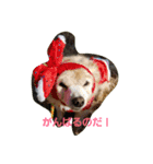 愉快なワンズたち（個別スタンプ：2）