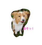 愉快なワンズたち（個別スタンプ：4）