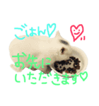 ねこたち＆うさぎ（個別スタンプ：13）