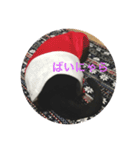 だいふくの日々（個別スタンプ：5）