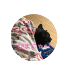 だいふくの日々（個別スタンプ：7）