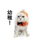 My daily cats routine（個別スタンプ：5）