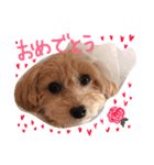 あんず様02（個別スタンプ：12）