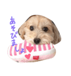 あんず様02（個別スタンプ：13）