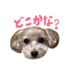 あんず様02（個別スタンプ：22）
