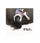 Letty＆Dom（個別スタンプ：12）