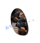 happy happy boys（個別スタンプ：11）