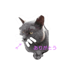 azuspecial（個別スタンプ：9）