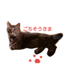 azuspecial（個別スタンプ：16）