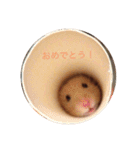 キンクマ ハムスター すけはむ！（個別スタンプ：23）