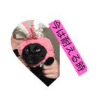ねこねこねこねこ！（個別スタンプ：7）